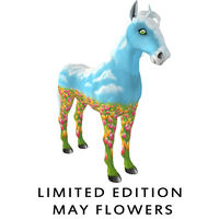 Limited Edition May Flowers