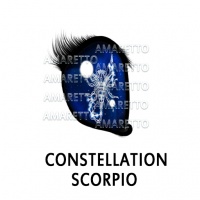 Constellation - Scorpio November 1 – November 30, 2020