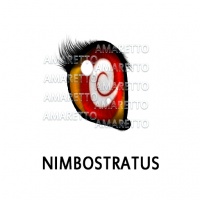 Nimbostratus