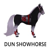 Dun Showhorse