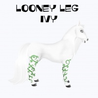 Looney Leg Ivy