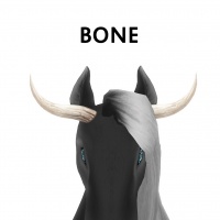 Bone