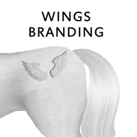 Wings Branding