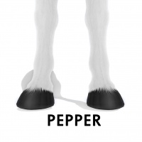 Pepper