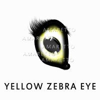 Yellow Zebra Eye