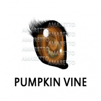 Pumpkin Vine