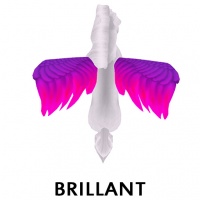 Brilliant Wing