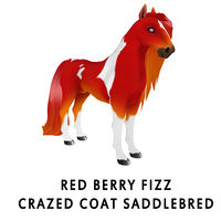 Red Berry Fizz Crazed Coat Saddlebred