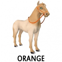 Orange Reins