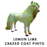 Lemon Lime Crazed Coat Pinto