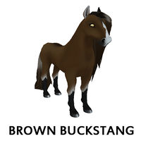 Brown Buckstang