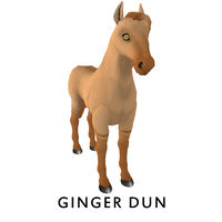 Ginger Dun