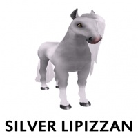 Silver Lipizzan