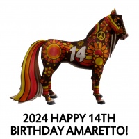 2024 Happy 14th Birthday Amaretto!