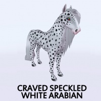 Craved Speckled White Arabian