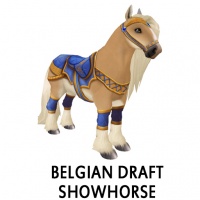 Belgian Draft Showhorse