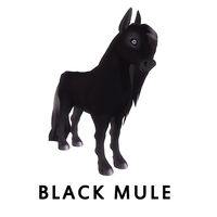 Black Mule