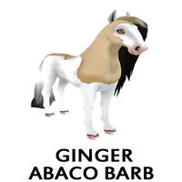 Ginger Abaco Barb