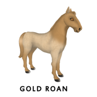 Gold Roan