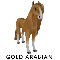 Golden Arabian