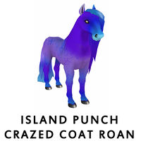 Island Punch Crazed Coat Roan