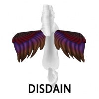 Disdain