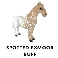 Spotted Exmoor Buff