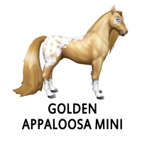 Golden Appaloosa Mini