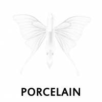 Porcelain