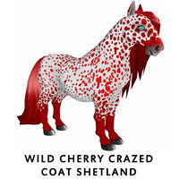 Wild Cherry Crazed Coat Shetland