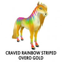 Craved Rainbow Striped Overo Gold