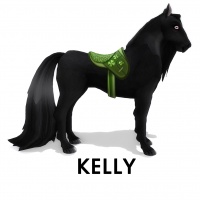 Saddle Kelly