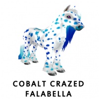 Cobalt Crazed Falabella