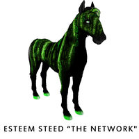 Limited Edition Esteem Steed “The Network"