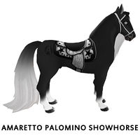 Amaretto Palomino Showhorse