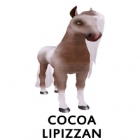 Cocoa Lipizzan