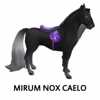 Mirum Nox Caelo