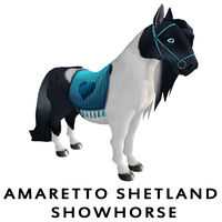 Amaretto Shetland Showhorse