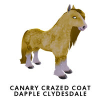 Canary Crazed Coat Dapple Clydesdale