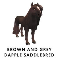 Brown and Grey Dapple Saddlebred