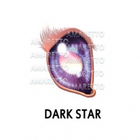 Dark Star