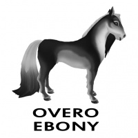 Overo Ebony