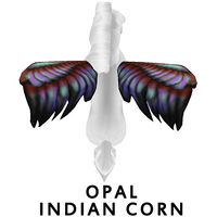 Opal Indian Corn