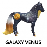 Galaxy Venus