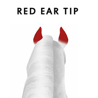 Red Ear Tip