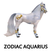 Zodiac Aquarius