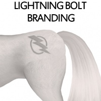 Lightning Bolt Branding