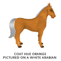 Coat Hue Orange