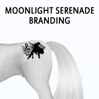 Moonlight Serenade Branding