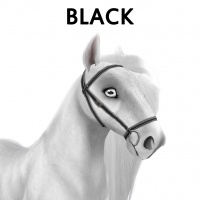 Black Bridle